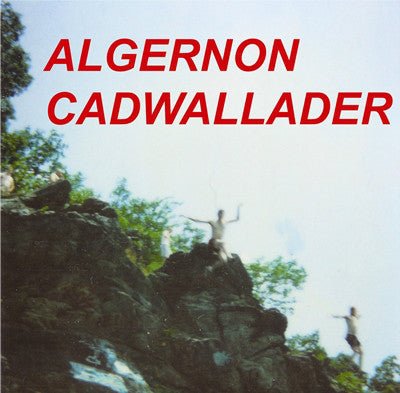 Algernon Cadwallader - Fun [Lime Foam Vinyl w/ CD] (Used 7") - Mad World Records