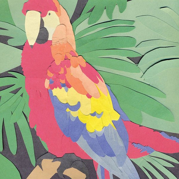 Algernon Cadwallader - Parrot Flies (New CD) - Mad World Records