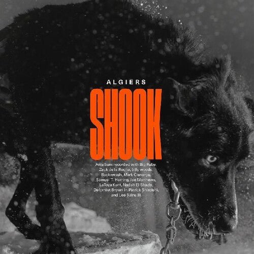 Algiers - Shook (New Vinyl LP) - Mad World Records