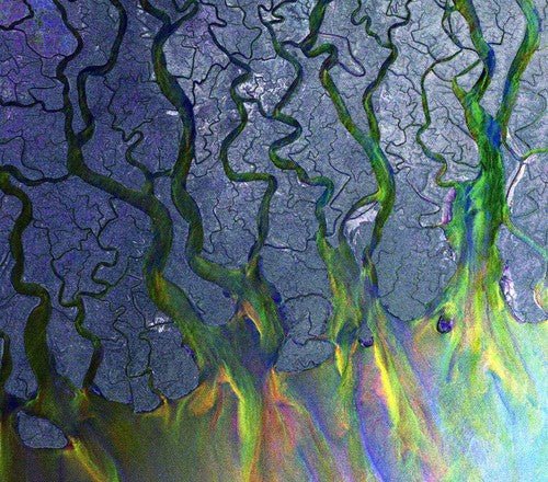 Alt - J - Awesome Wave (New CD) - Mad World Records