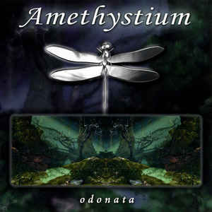 Amethystium - Odonata (Used CD) - Mad World Records