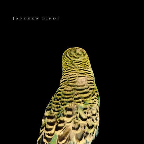 Andrew Bird - Armchair Apocrypha (New Vinyl LP) - Mad World Records