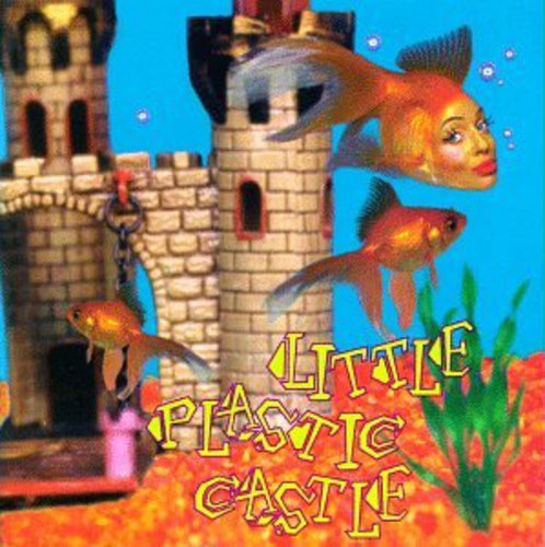 Ani Difranco - Little Plastic Castle (Used CD) - Mad World Records