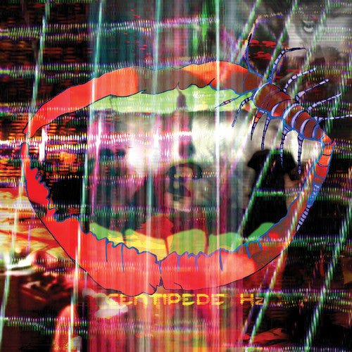 Animal Collective - Centipede HZ (New CD) - Mad World Records