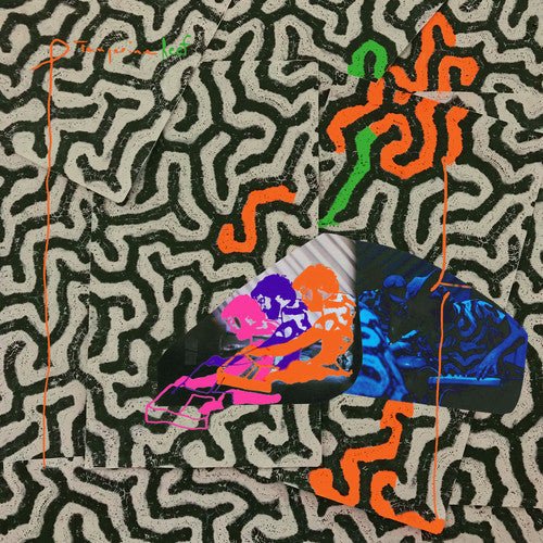 Animal Collective - Tangerine Reef (New Vinyl LP) - Mad World Records