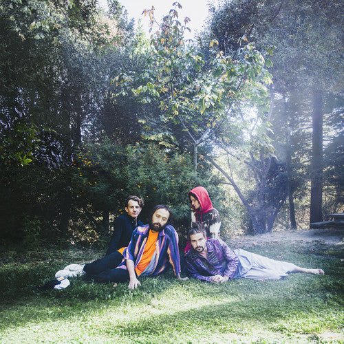 Big Thief - U.F.O.F. (New Vinyl LP) - Mad World Records