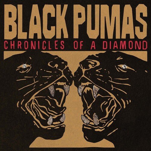 Black Pumas - Chronicles Of A Diamond (New CD) - Mad World Records