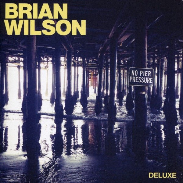 Brian Wilson – No Pier Pressure (Used CD) - Mad World Records