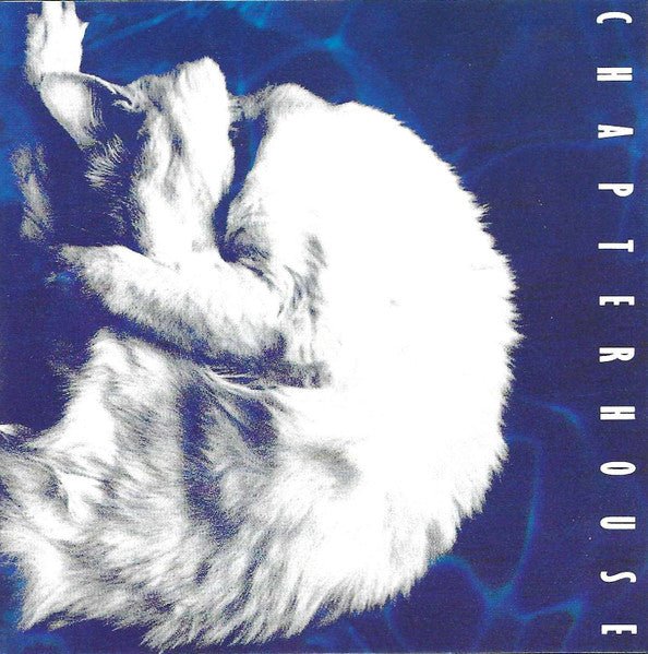 Chapterhouse - Whirlpool [White Marble Vinyl] [Import] (New Vinyl LP) - Mad World Records