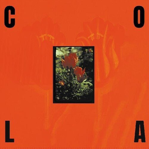 Cola - The Gloss [Olive Green Vinyl] (New Vinyl LP) - Mad World Records