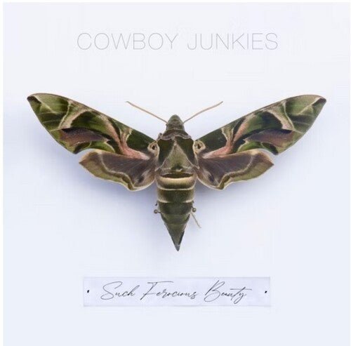 Cowboy Junkies - Such Ferocious Beauty (New CD) - Mad World Records