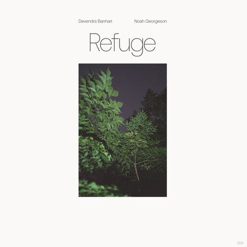 Devendra Banhart - Refuge [Blue Seaglass Wave Translucent Vinyl] (New Vinyl LP) - Mad World Records