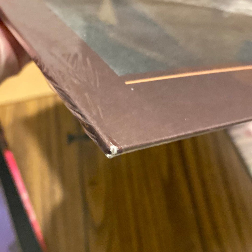 [Discounted] Deerhunter - Why Hasn't Everything Already Disappeared (New Vinyl LP) - Mad World Records