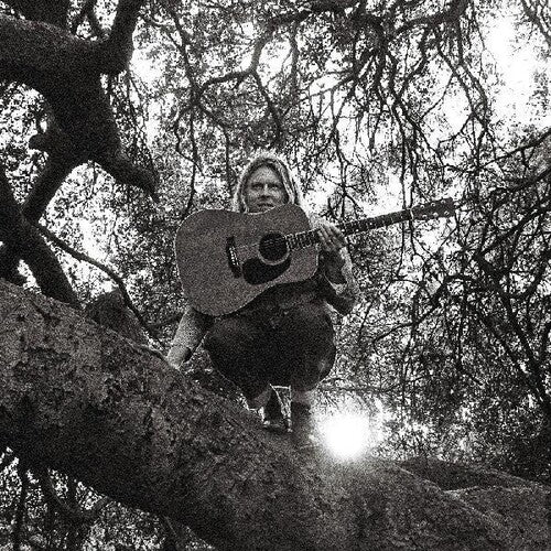 [Discounted] Ty Segall - Hello Hi (New Vinyl LP) - Mad World Records