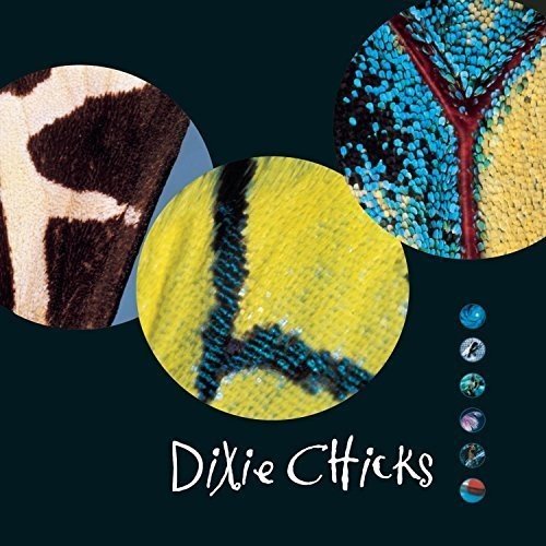 Dixie Chicks - Fly (New Vinyl LP) - Mad World Records