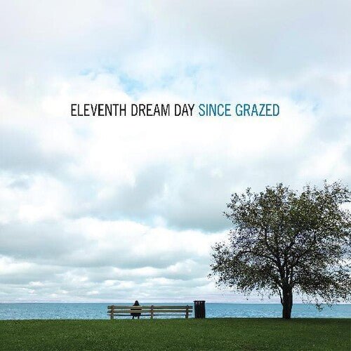 Eleventh Dream Day - Since Grazed (New Vinyl LP) - Mad World Records