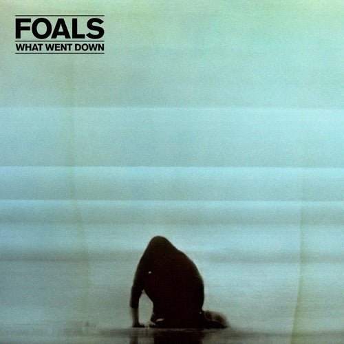 Foals - What Went Down (New Vinyl LP) - Mad World Records