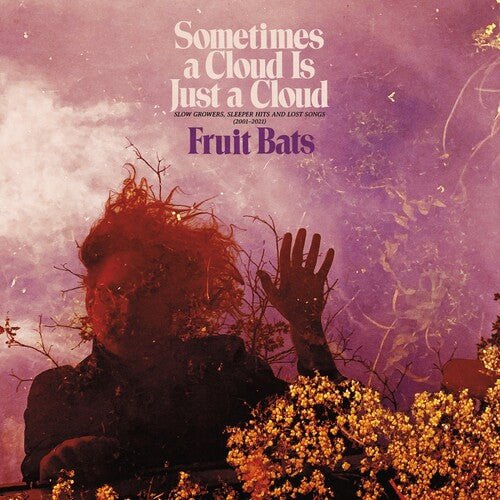 Fruit Bats - Sometimes a Cloud Is Just a Cloud: Slow Growers, Sleeper Hits and Lost Songs (2001–2021) [Colored Vinyl] (New Vinyl LP) - Mad World Records