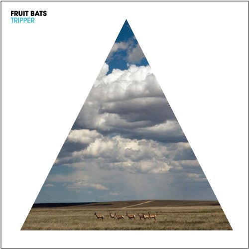 Fruit Bats - Tripper (New CD) - Mad World Records