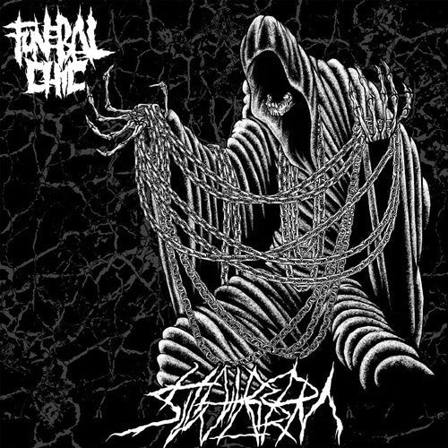 Funeral Chic - Hatred Swarm (New Vinyl LP) - Mad World Records