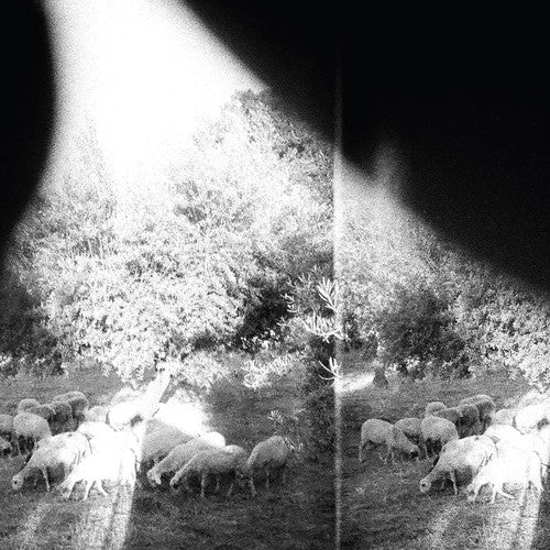 Godspeed You! Black Emperor - Asunder, Sweet And Other Distre (New CD) - Mad World Records