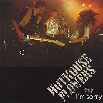 Hothouse Flowers - I'm Sorry (single) (Used CD) - Mad World Records