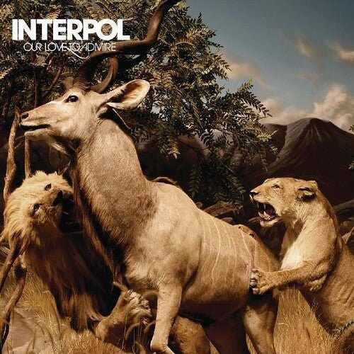 Interpol - Our Love To Admire (New Vinyl LP) - Mad World Records