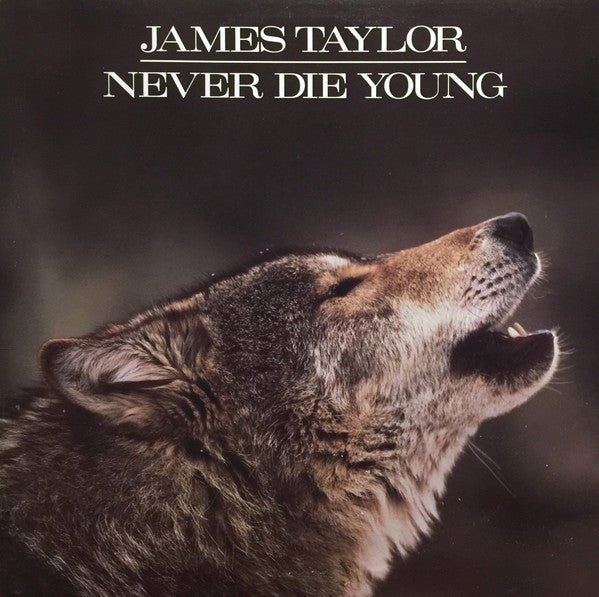 James Taylor - Never Die Young (Used Vinyl LP) - Mad World Records