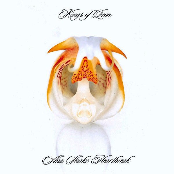 Kings of Leon - A - Ha Shake Heartbreak (New CD) - Mad World Records