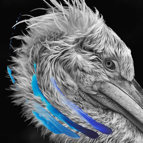 Lies - Lies [Metallic Silver Vinyl] (New Vinyl LP) - Mad World Records