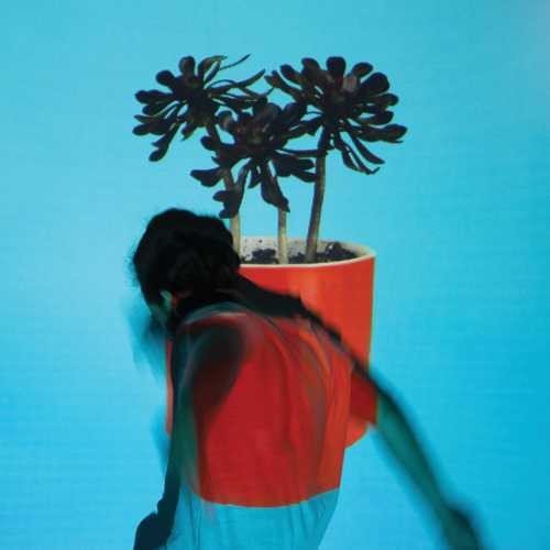 Local Natives - Sunlit Youth (New CD) - Mad World Records