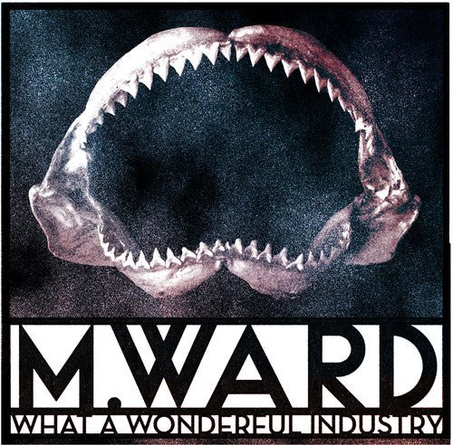 M. Ward - What a Wonderful Industry [Cloudy Clear Vinyl] (New Vinyl LP) - Mad World Records