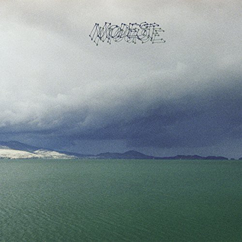 Modest Mouse - Fruit That Ate Itself (New Vinyl LP) - Mad World Records