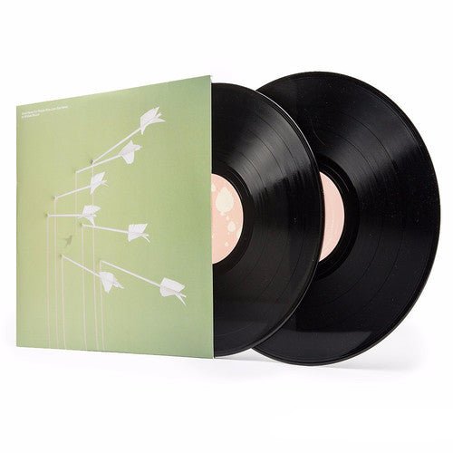 Modest Mouse - Good News for People Who Love Bad News (New Vinyl LP) - Mad World Records