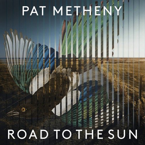 Pat Metheny - Road To The Sun (New Vinyl LP) - Mad World Records