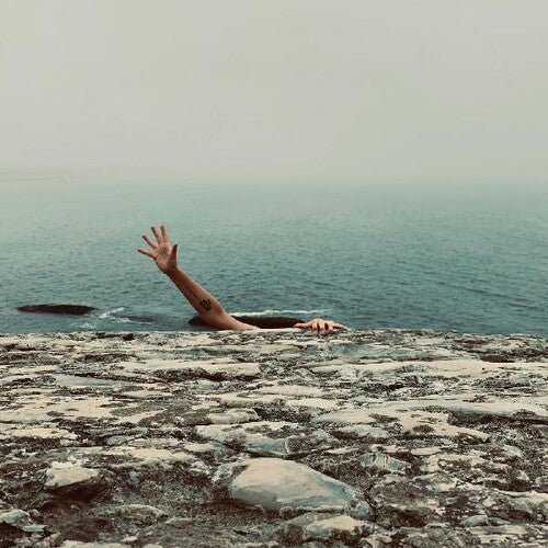 Pet Fox - A Face In Your Life (New Vinyl LP) - Mad World Records