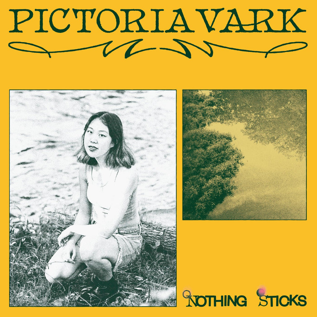 Pictoria Vark - Nothing Sticks (New Vinyl LP) - Mad World Records