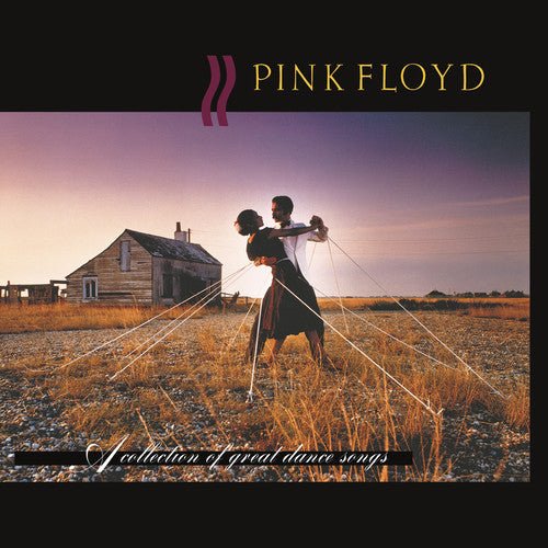 Pink Floyd - A Collection Of Great Dance (New Vinyl LP) - Mad World Records