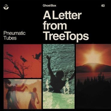 Pneumatic Tubes - A Letter From TreeTops (New CD) - Mad World Records