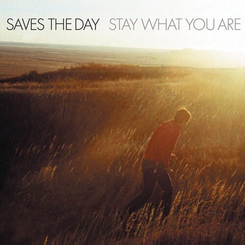 Saves the Day - Stay What You Are [Brown Vinyl] (New Vinyl 10") - Mad World Records