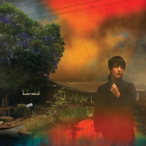 Sharon Van Etten - We've Been Going About This All Wrong [Marbled Smoke Vinyl] (New Vinyl LP) - Mad World Records