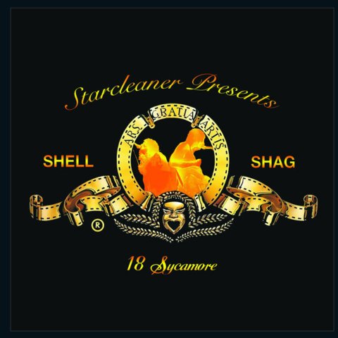 Shellshag - 18 Sycamore (New Vinyl LP) - Mad World Records