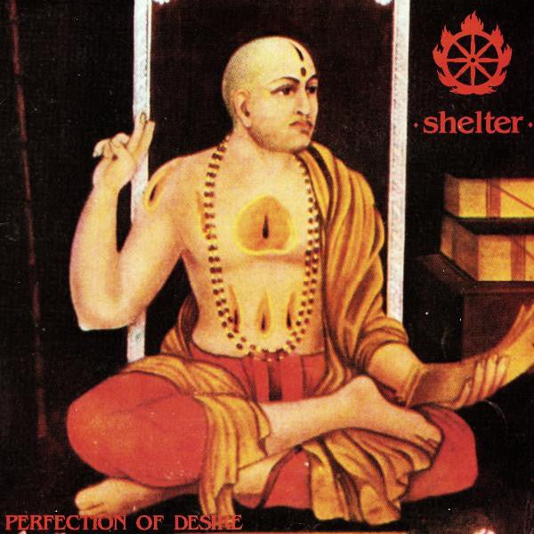 Shelter - Perfection of Desire [Colored Vinyl] (New Vinyl LP) - Mad World Records