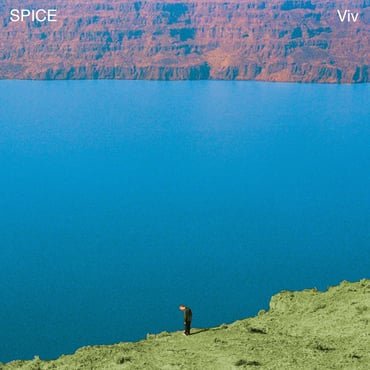 Spice - Viv [Clear Sea Vinyl] (New Vinyl LP) - Mad World Records