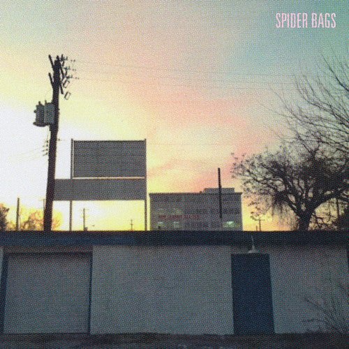 Spider Bags - Someday Everything Will Be Fine (New Vinyl LP) - Mad World Records