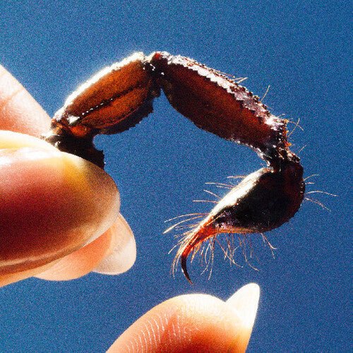 Squid - Cowards [Clear Vinyl] (New Vinyl LP) - Mad World Records