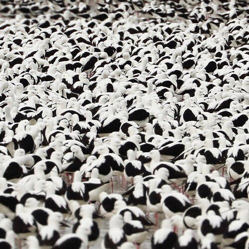 Stella Donnelly - Flood [Opaque Red Vinyl] (New Vinyl LP) - Mad World Records