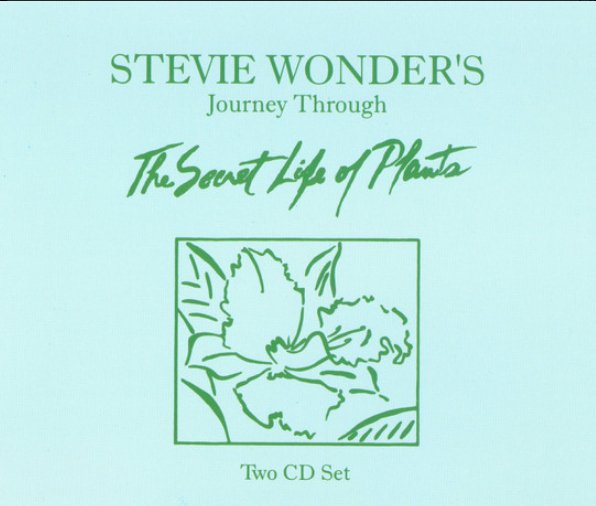 Stevie Wonder - Journey Through the Secret Life of Plants [2CD] (Used CD) - Mad World Records