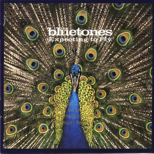 The Bluetones - Expecting to Fly (Used CD) - Mad World Records