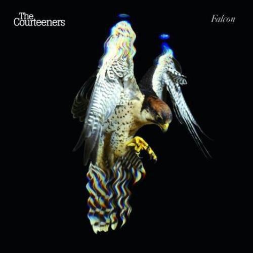 The Courteeners - Falcon (Used CD) - Mad World Records